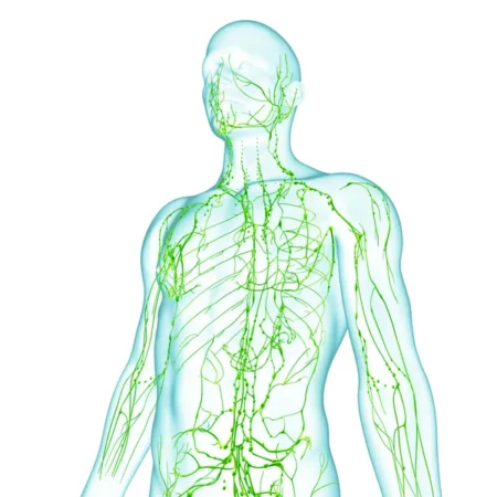 Lymphatic Therapy in cape girardeau